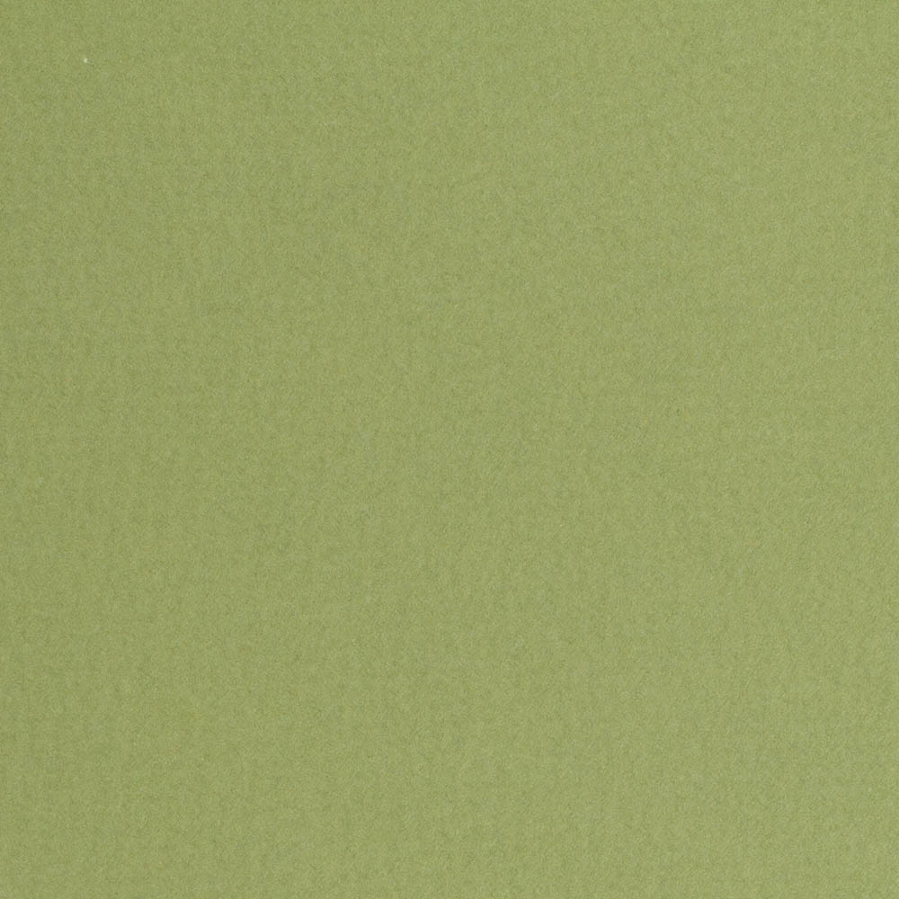 Fabriano, Green, Loose Paper, Art & School, 20"x26", Tiziano, 160gsm, Moss, 406911